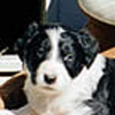 Oriana was adopted in December, 2004